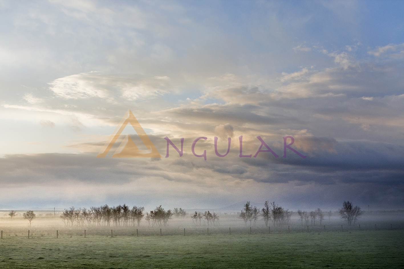 _MG_1248A