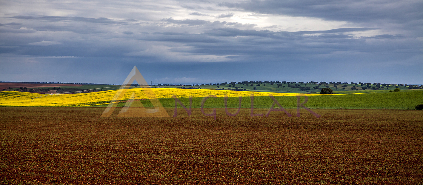 campo 40×17