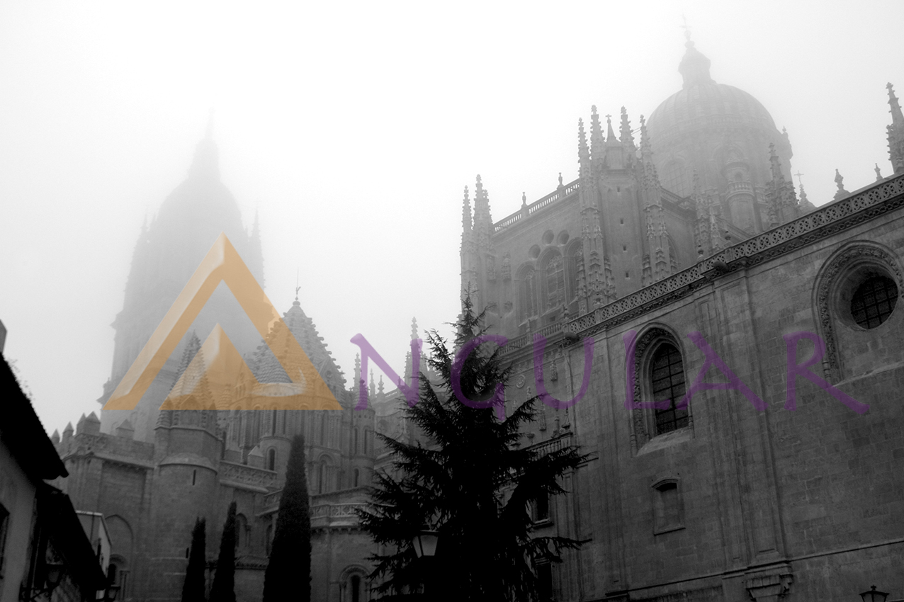catedral7INT